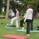 darrell calkins cobaltsaffron seminar yoga movement martial arts
